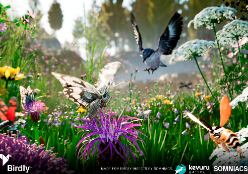 NYX Game Awards - Birdly Insects